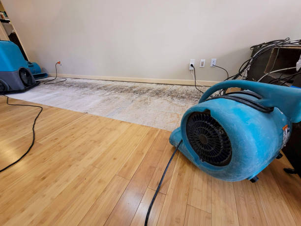Professional Water Damage Repair technician working in Cashmere, WA